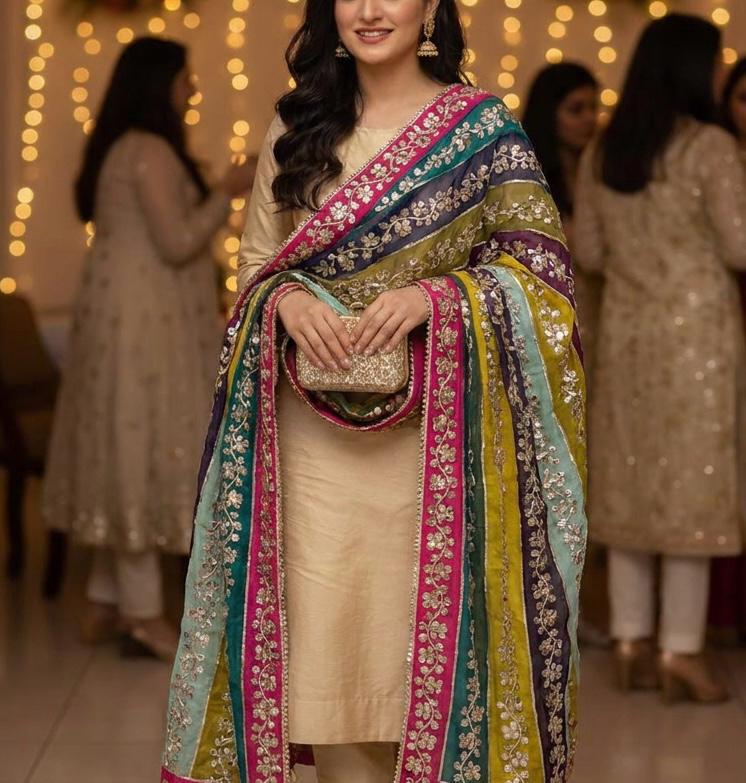 Multicolor Embroidered Chiffon Dupatta